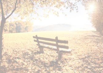 Banc jaune