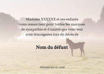 Cheval personnalisé