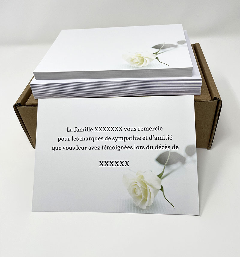 CARTE DE REMERCIEMENTS DECES 105 x 150 Roses blanches et fond blanc
